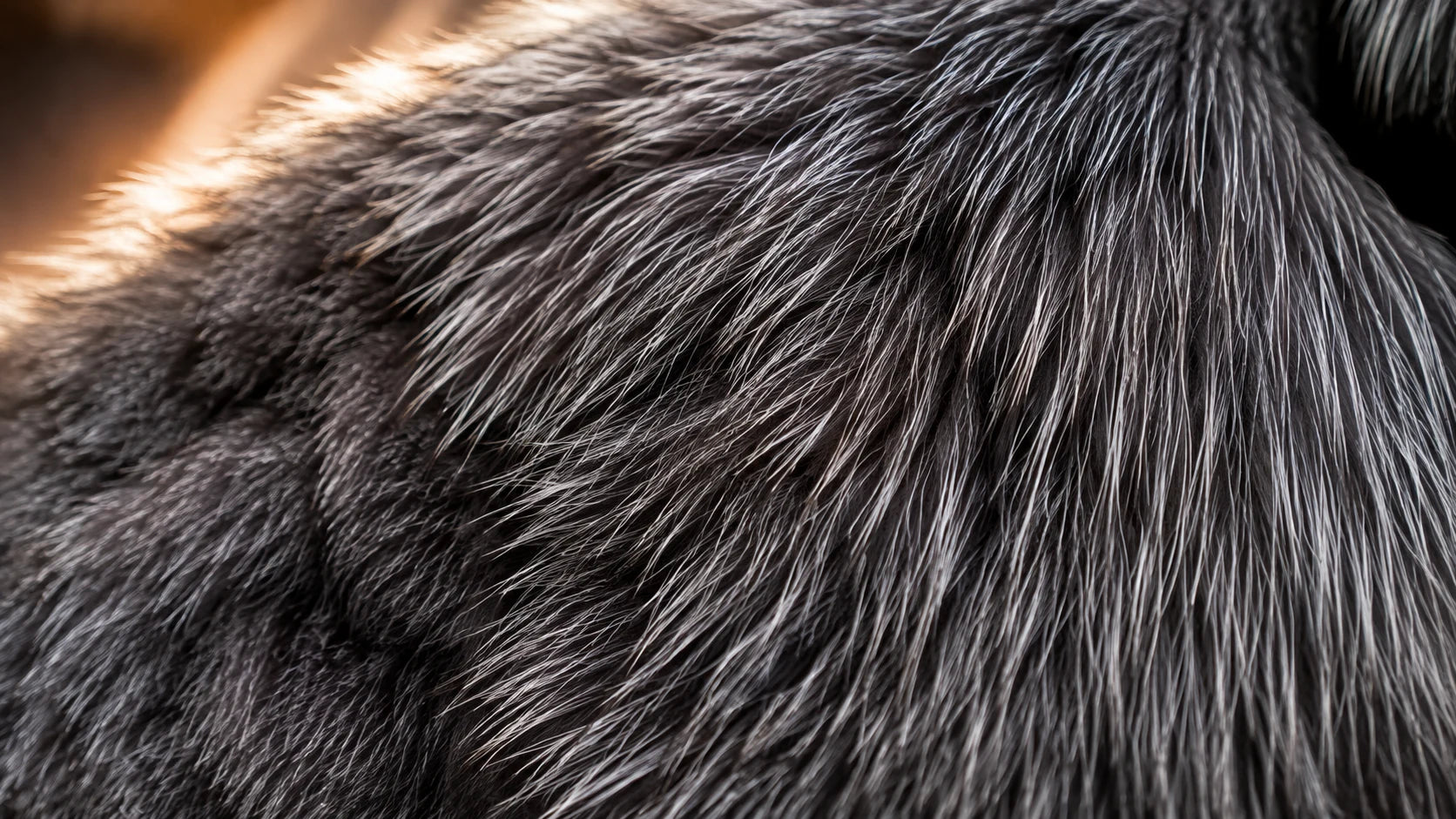 Macro delle fibre naturali di volpe argentata